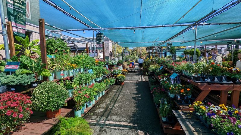 Location, Parking, And Everything You Need To Plan Your Visit