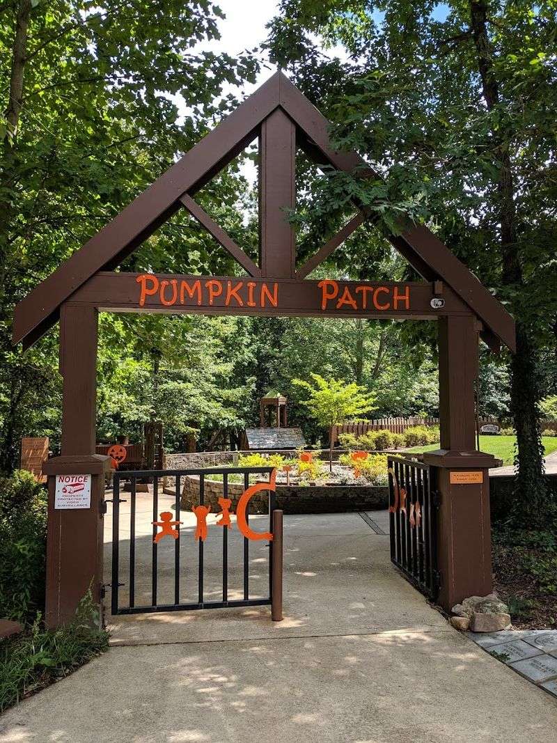 The Pumpkin Patch Playground, Signal Mountain