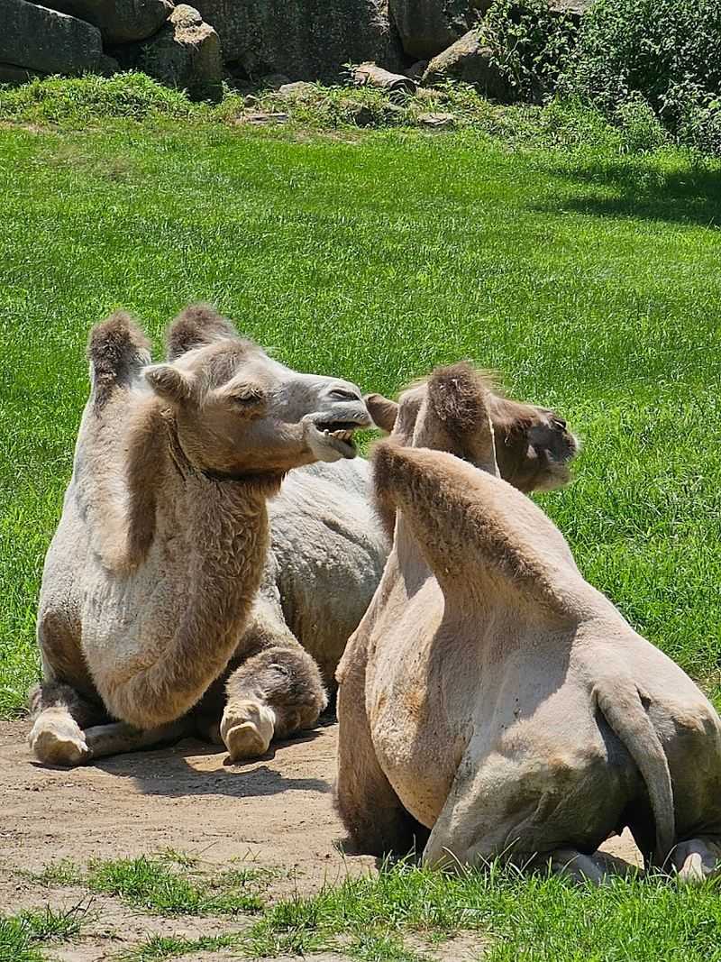 Seasonal Events And Year-Round Family Experiences