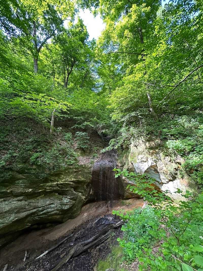 A Network Of Trails Suitable For Both Casual Walks And Longer Hikes