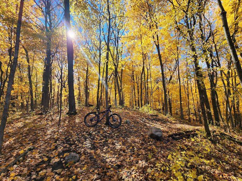 Kettle Moraine State Forest Trails (Eagle–Elkhart Lake, WI)