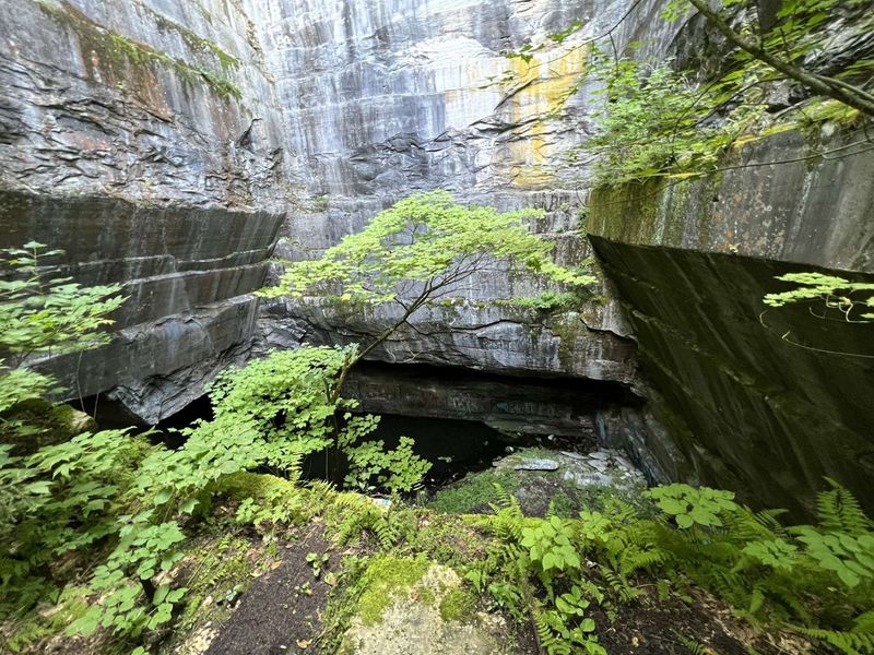 Freedleyville Quarry, Dorset