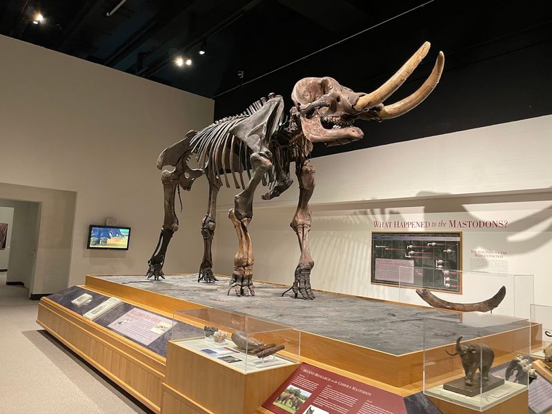 New York State Museum