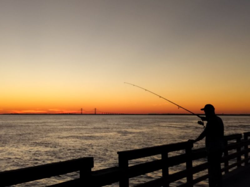 Discover Family-Oriented Recreational Activities