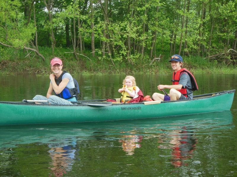 Wildlife Spotting Tips During Waterway Excursions