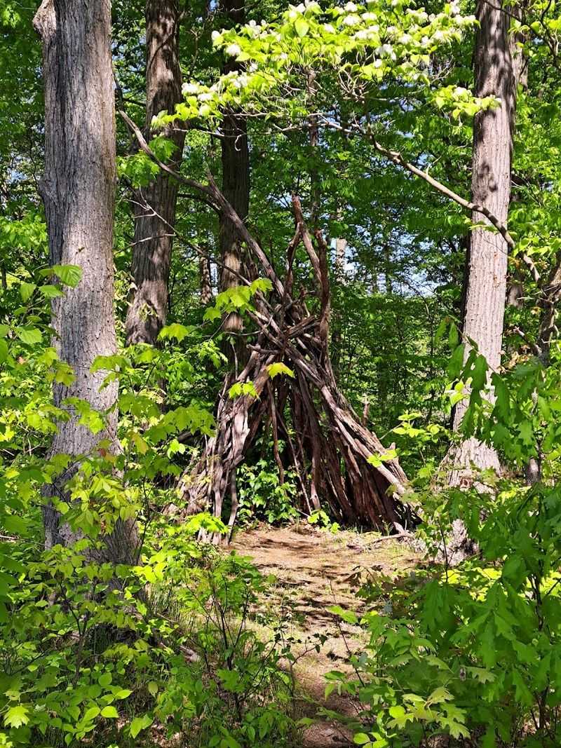 Educational Opportunities For Nature Enthusiasts