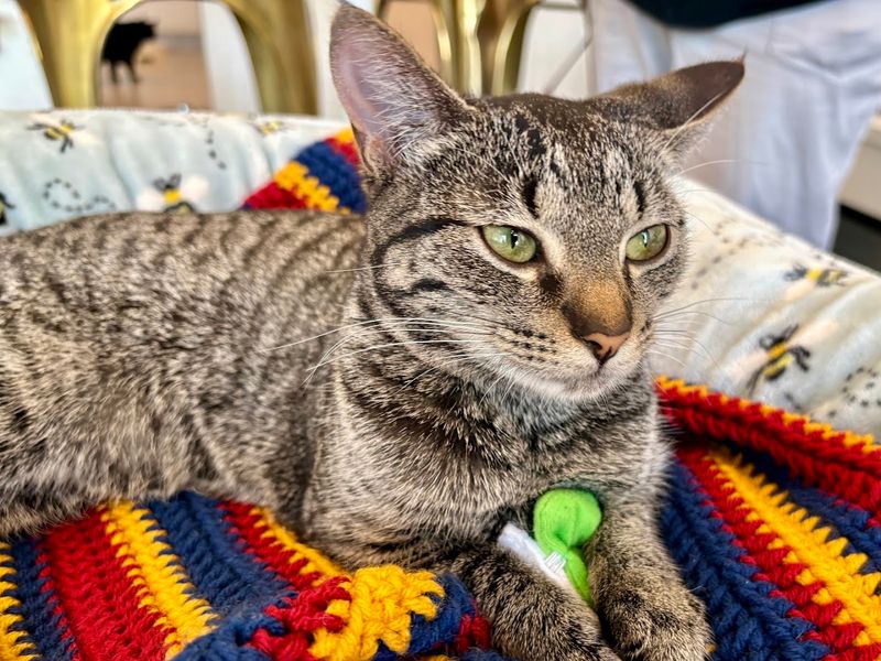 What Makes This Spot Stand Out Among Wisconsin Destinations