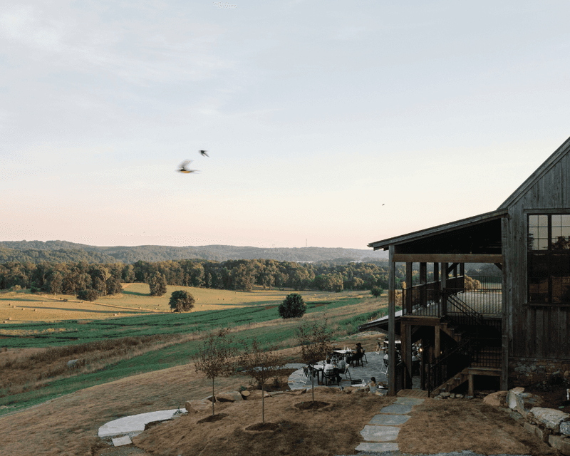 Wilder At Windy Hill Farm And Preserve, Loudon