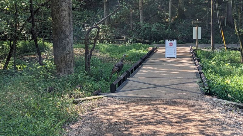 Parking Realities And How To Navigate Them