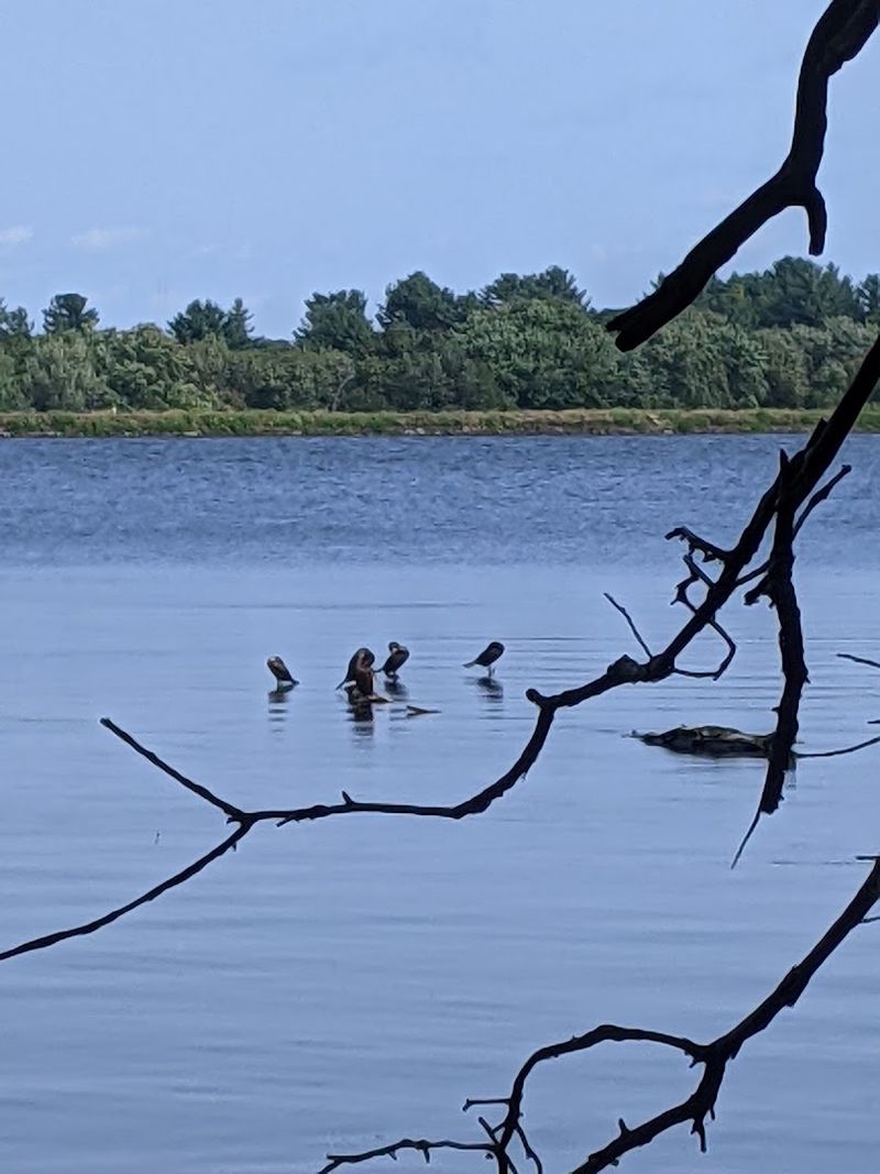 Fishing Spots That Reward Patience And Early Mornings