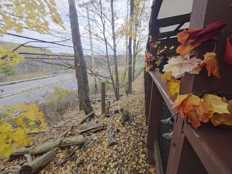 The Pumpkin Express Is A Fall Favorite For Young Riders