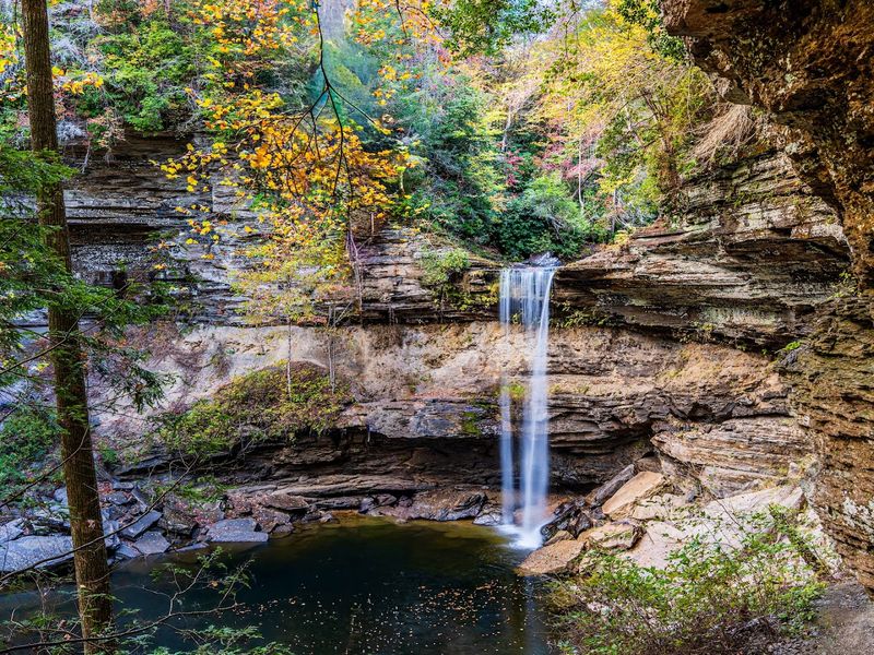 Savage Gulf State Natural Area, Gruetli-Laager
