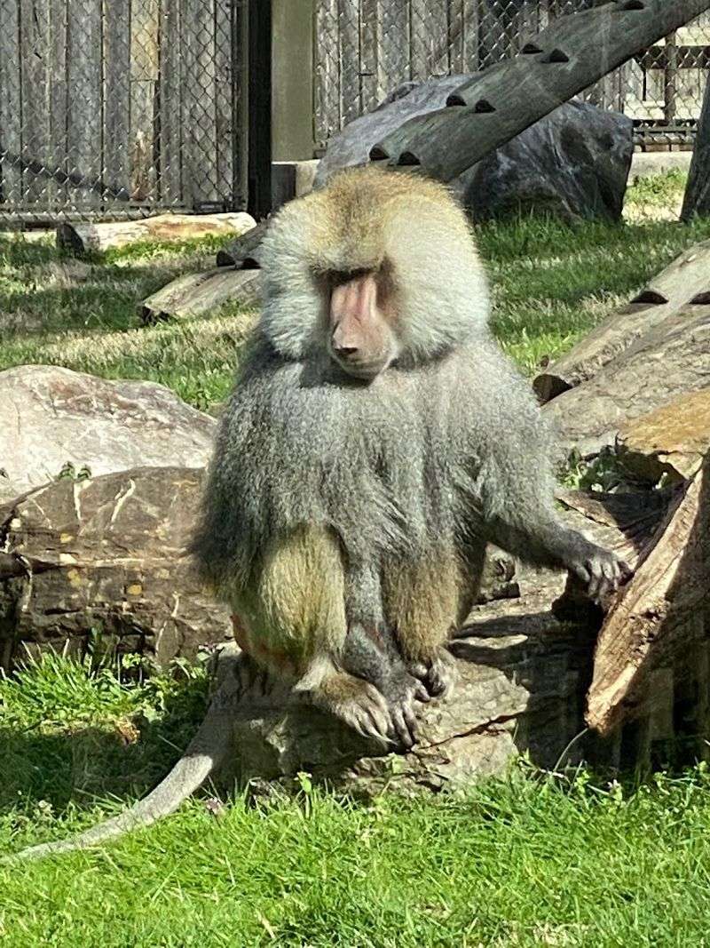 Zookeeper Talks And Educational Programs Set This Zoo Apart