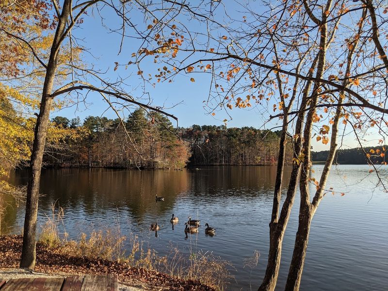 Where Birding And Wildlife Steal The Show