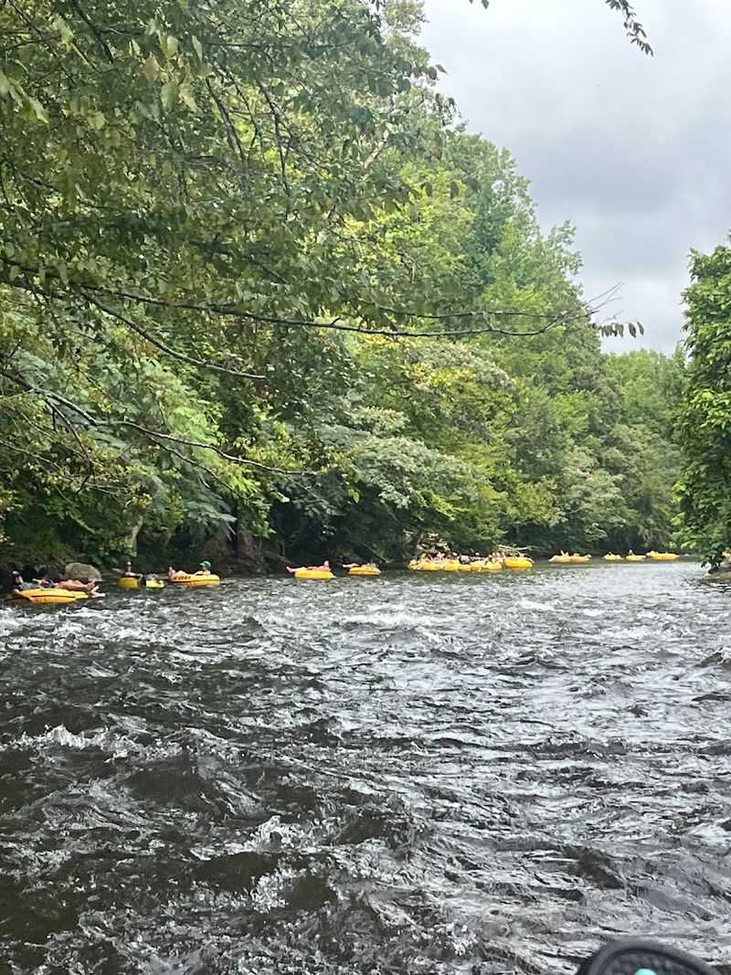 Why Visitors Keep Coming Back To River Rat Season After Season