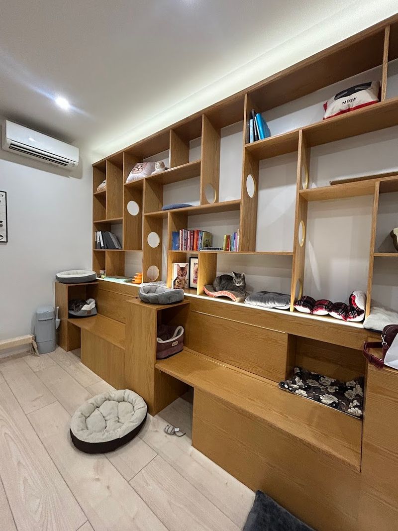 The VIP Area And Other Details That Elevate The Experience