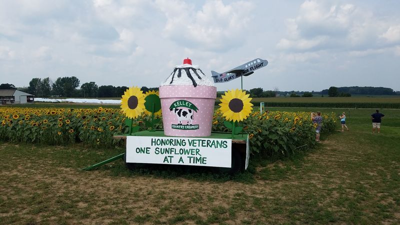 Seasonal Visits That Keep People Coming Back