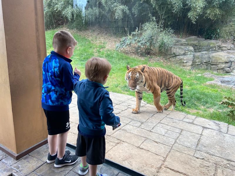 Family-Friendly Features Make Every Corner Of The Zoo Enjoyable