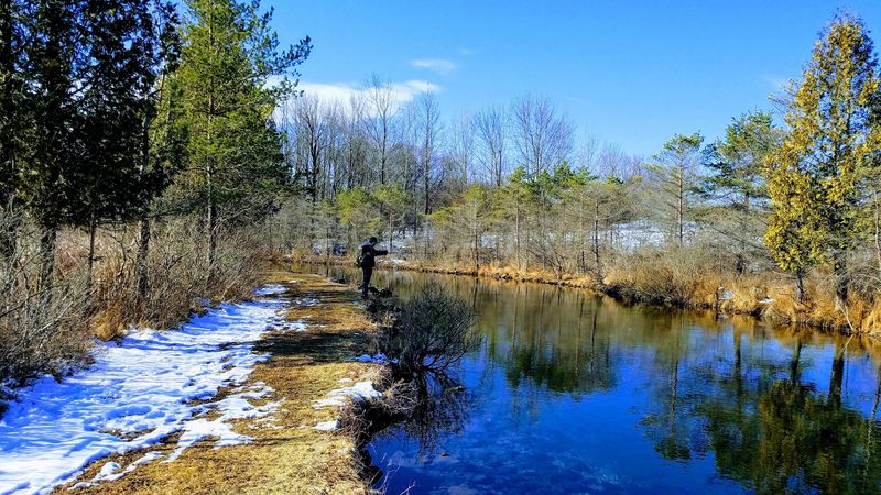 The Spring-Fed Stream Running Through The Grounds