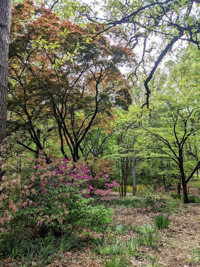 A Calm And Peaceful Space That Feels Like A Private Retreat