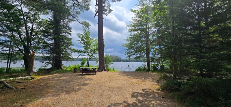 Brown Tract Pond Campground