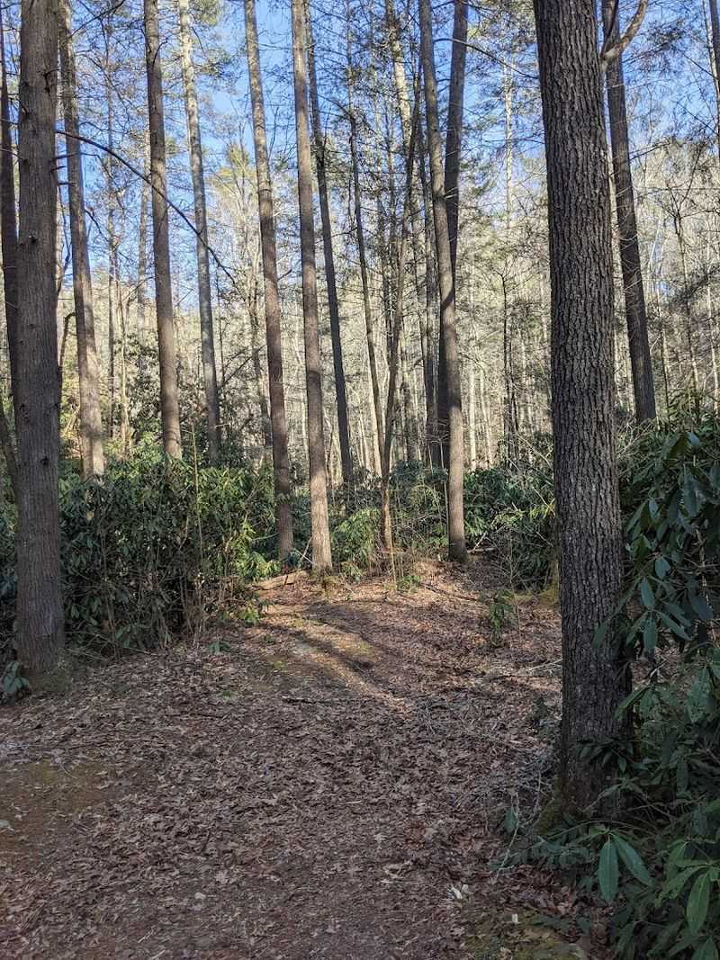 Hiking Trails That Offer Honest Mountain Terrain