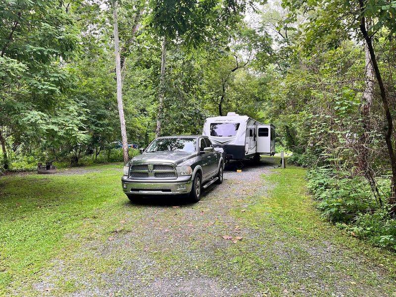 Camping Under A Canopy That Earns Its Reputation