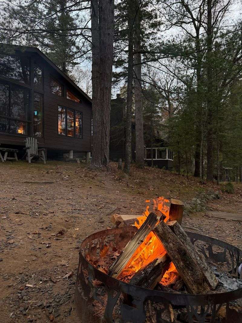 The Forest That Wraps Around The Lake