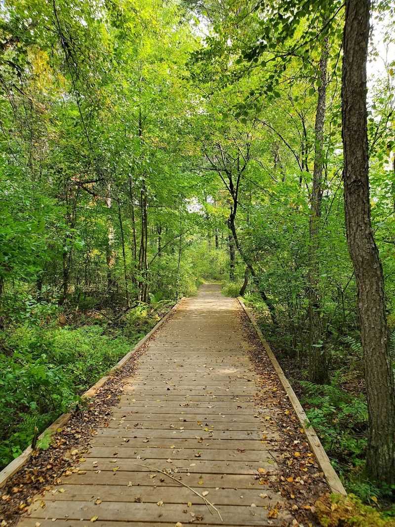 Hiking Trails Wind Through Forest, Prairie, And Wetland Areas