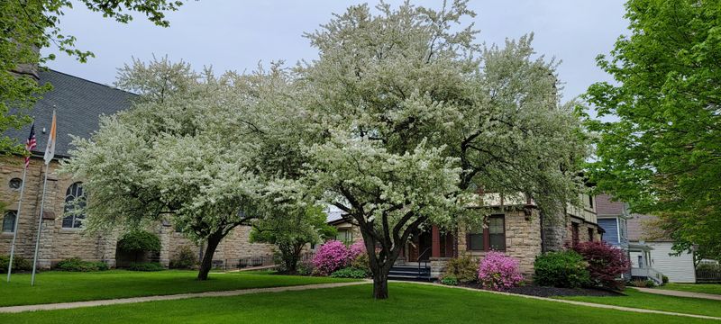 Nannen Arboretum And The Art Of Slowing Down