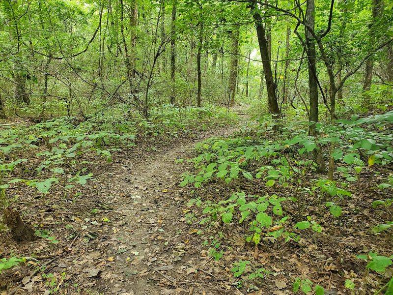 Miles Of Trails That Reward Every Fitness Level