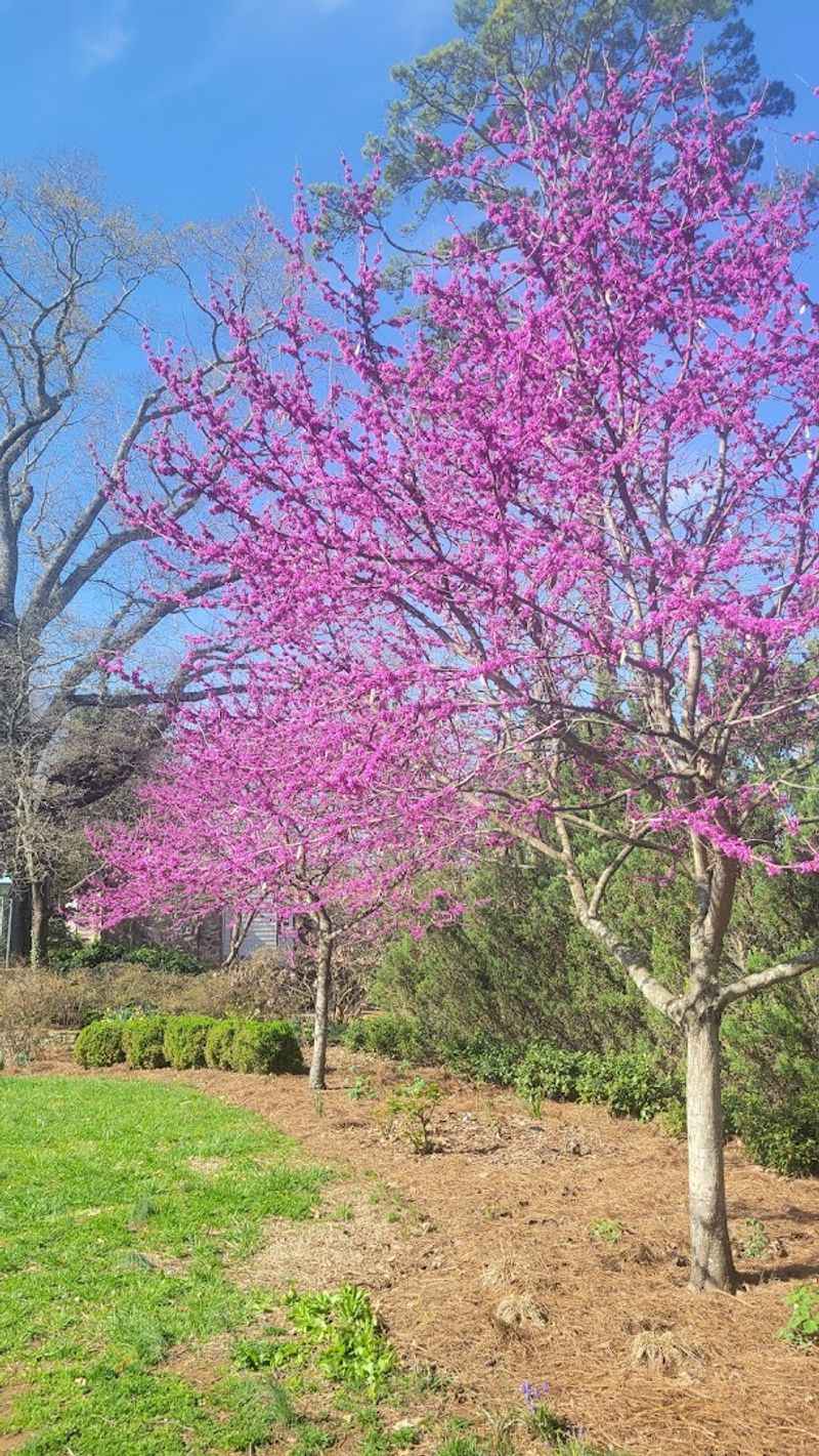 The Visitor Center Where The Real History Of The Property Comes Alive