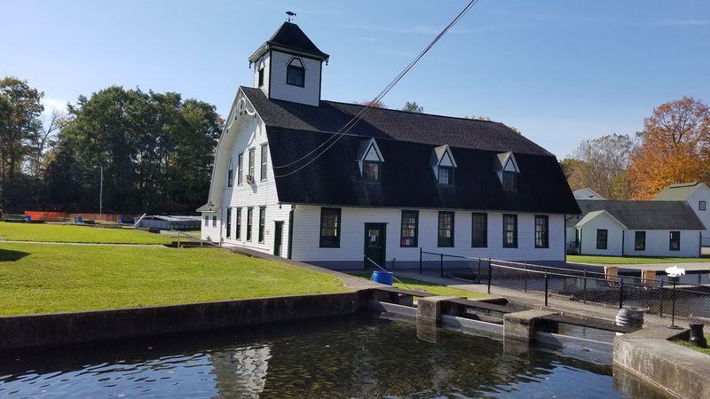 Why This Place Deserves A Permanent Spot On Your New York Itinerary