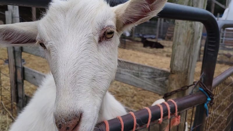 Why Families Keep Coming Back Season After Season