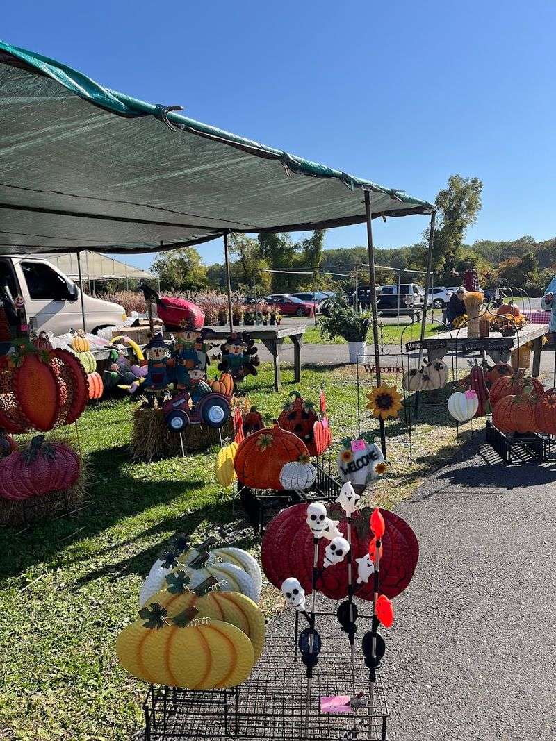 Dog-Friendly And Easy To Explore