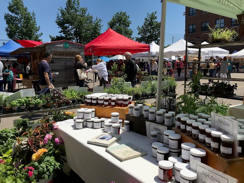 Food Trucks And Specialty Bites That Keep The Crowds Coming Back