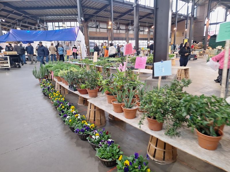 The Bloom-Filled Stop You Will Not Forget