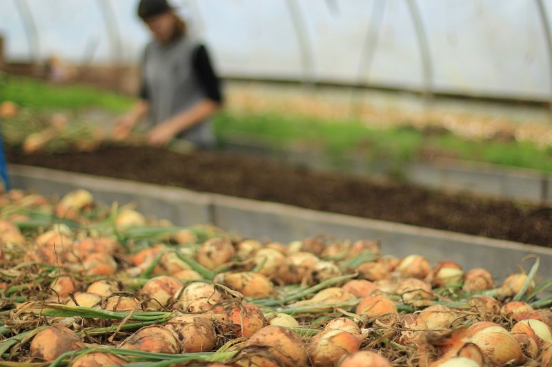 A Fresh Stop Worth The Drive