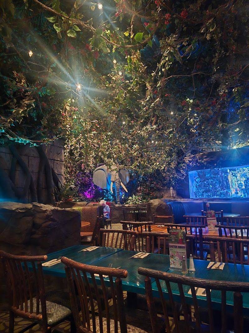Rainforest Cafe (Opry Mills), Nashville