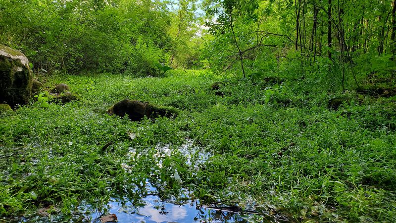 Peaceful Water Features That Add To The Scenic Setting