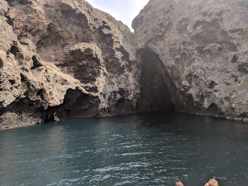 Marine Life In Coastal Tide Pools