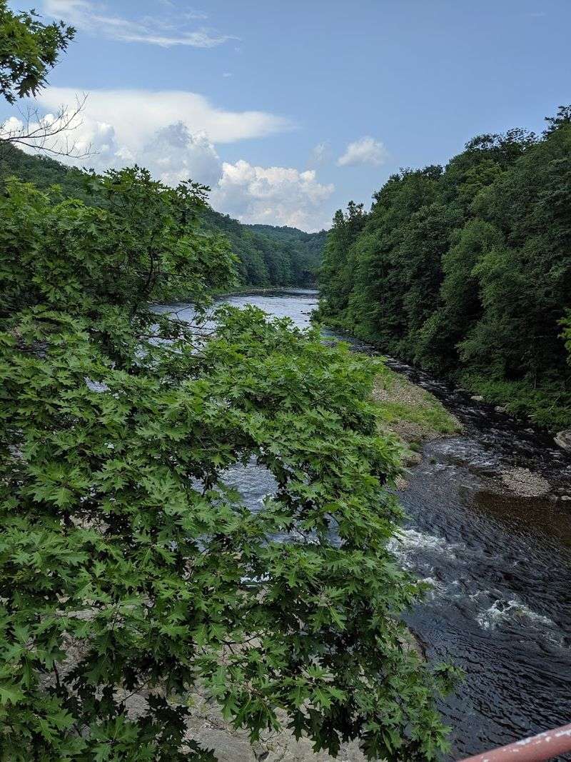 Why This Trip Works For Families, Friend Groups, And Solo Floaters Alike