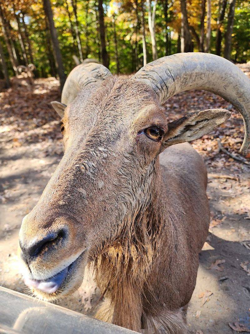 Why Visitors Keep Coming Back Again And Again