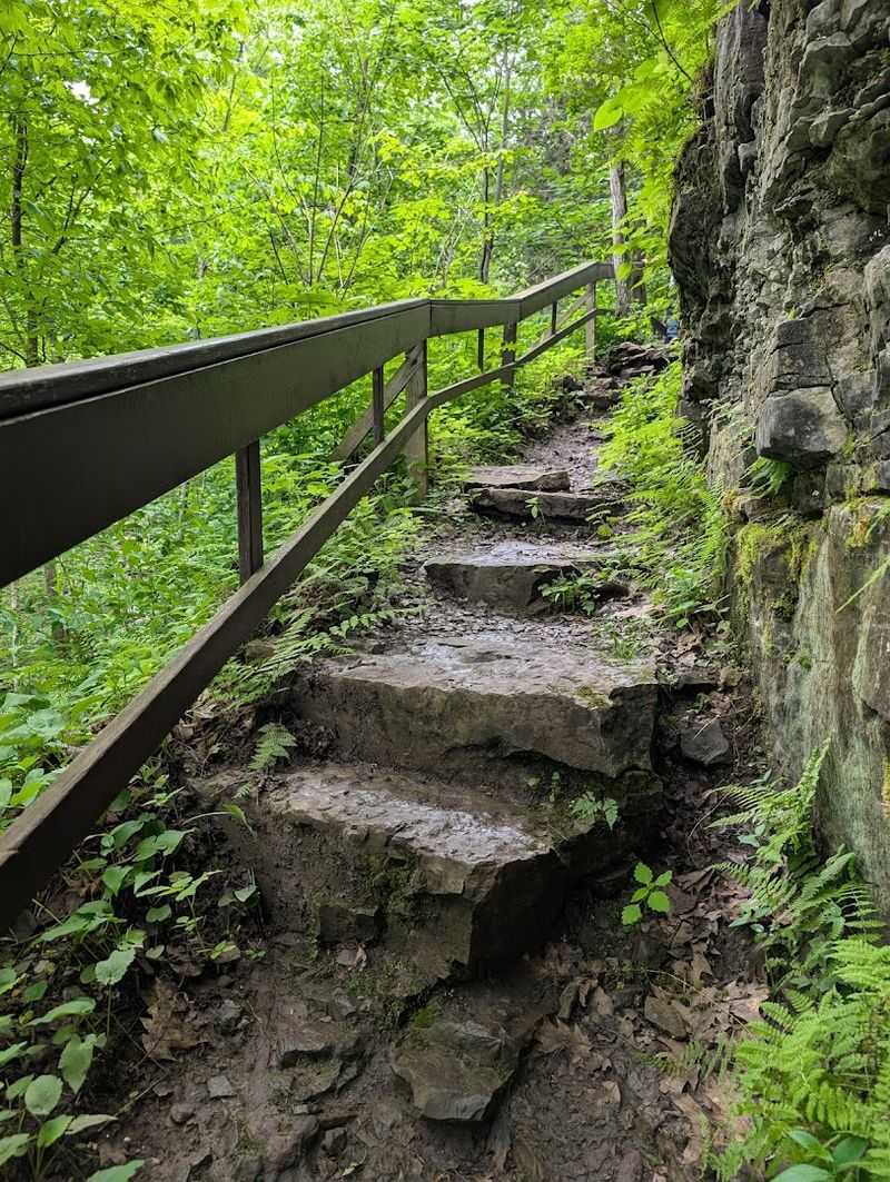 Chittenango Falls Gorge Trail