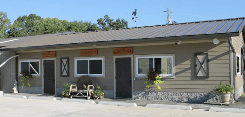 Milking A Goat Yourself Is More Fun Than It Sounds