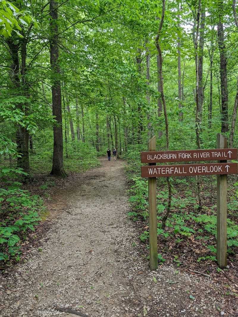 A Park That Actually Welcomes Dogs