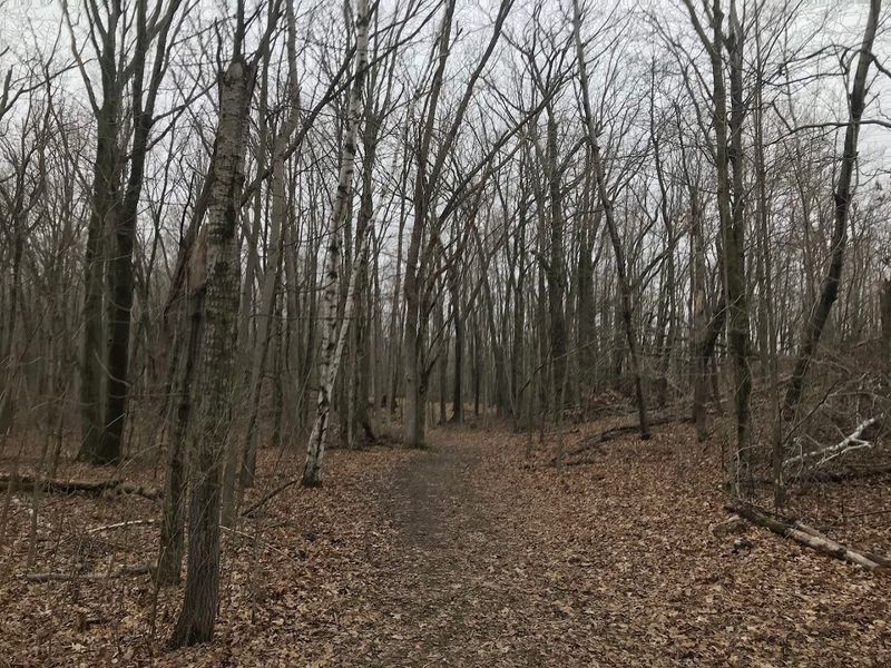 Kettle Moraine State Forest (Kewaskum, WI)