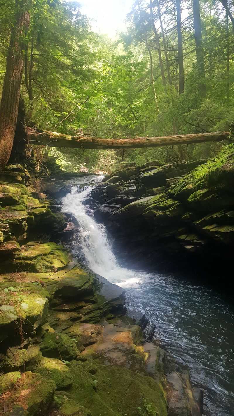 Fiery Gizzard Trail At Grundy Forest, Tracy City
