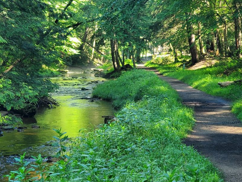 Wildlife Habitats Supported By Old-Growth Areas