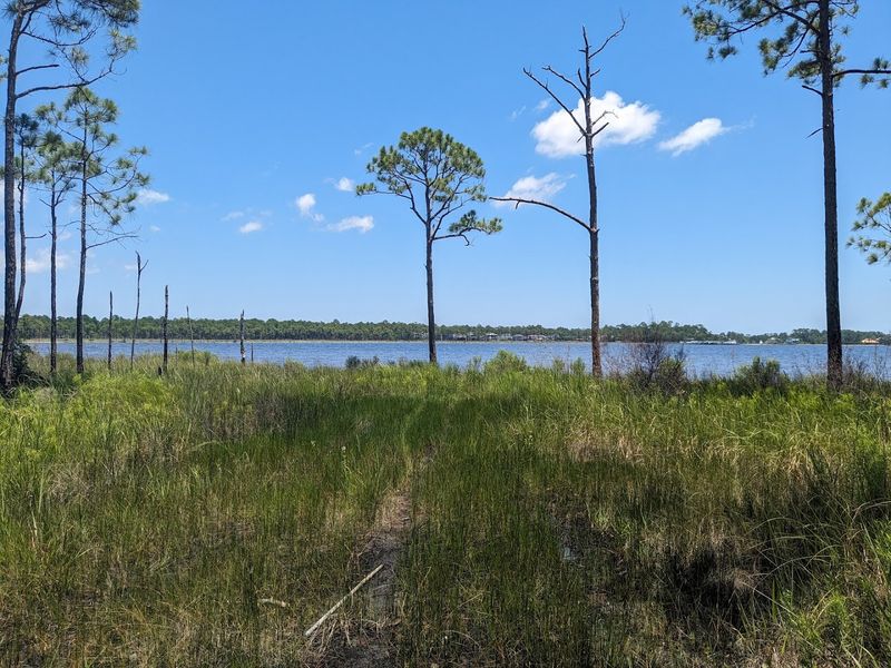 Seasonal Changes And Best Times To Visit